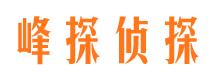 龙山寻人公司